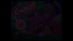 amy_rose, sonic_the_hedgehog, breeding_season, sega, sonic_(series)