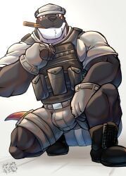 blitzkriegotter, resondog, anthro, army, army_hat