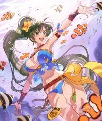 lyn, lyn_(fire_emblem), lyndis_(fire_emblem), fire_emblem, fire_emblem:_the_blazing_blade
