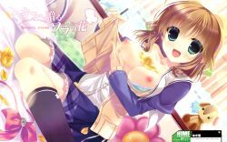 nishizono_kanna, kimi_e_okuru_sora_no_hana, yukie, 1girl, bra