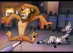 alakay_alex, marty_the_zebra, dreamworks, dreamworks_animation, dreamworks_pictures