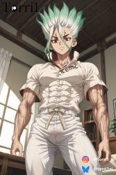 ishigami_senku, dr.stone, torri1, 1boy, abs