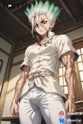 ishigami_senku, dr.stone, torri1, 1boy, abs