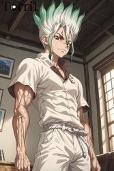 ishigami_senku, dr.stone, torri1, 1boy, abs