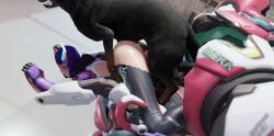 d.mon, overwatch, overwatch_2, blueberg, 1dog