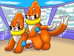 buizel, nintendo, pokemon, devilgator17, all_fours
