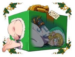 link, link_(tears_of_the_kingdom), christmas, holidays, nintendo