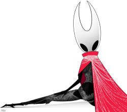 hornet_(hollow_knight), hollow_knight, hollow_knight:_silksong, hollow_knight_(franchise), team_cherry