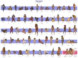 ardi, ardipithecus_kadabba, ardipithecus_ramidus, australopithecus_afarensis, australopithecus_africanus