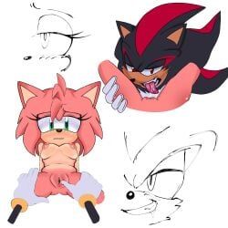 amy_rose, shadow_the_hedgehog, sega, sonic_the_hedgehog_(series), after_cunnilingus