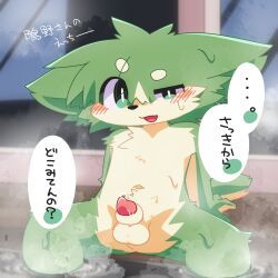 ranshinumeda334, anthro, balls, blush, blush_lines