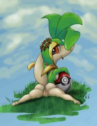 generation_5_pokemon, pokemon_(species), snivy, nintendo, pokemon