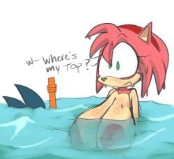 amy_rose, sonic_the_hedgehog, sonic_(series), sonic_the_hedgehog_(series), lewdmcgill