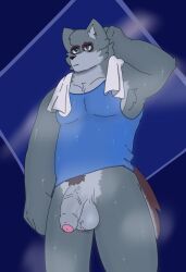 tyson_(password), password_(visual_novel), anthro, athletic_wear, balls