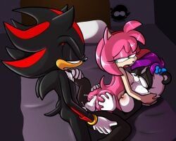 amy_rose, fan_character, shadow_the_hedgehog, sega, sonic_the_hedgehog_(series)