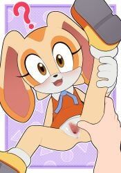 cream_the_rabbit, mobian_(species), sega, sonic_(series), sonic_the_hedgehog_(series)