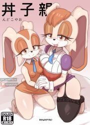cream_the_rabbit, vanilla_the_rabbit, sega, sonic_the_hedgehog_(series), renaspyro