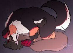 american_marten, anthro, anthro_on_feral, bernese_mountain_dog, bestiality