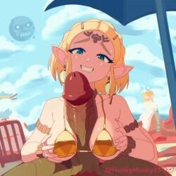 fairy_(zelda), ganondorf, gerudo, link, link_(tears_of_the_kingdom)