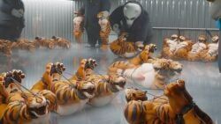 tiger_dancer_(zootopia), disney, zootopia, ghostoast, anthro