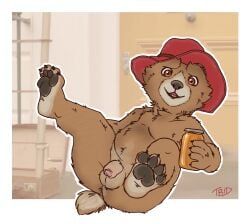 paddington_bear, paddington_and_company_limited, tbid, 1boy, anthro