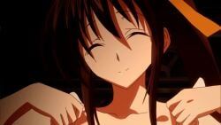 himejima_akeno, high_school_dxd, high_school_dxd_born, 1girl, black_hair