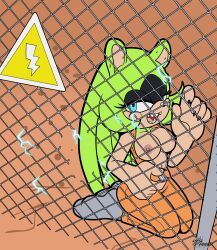 surge_the_tenrec, idw_publishing, sega, sonic_(series), sonic_the_hedgehog_(comics)