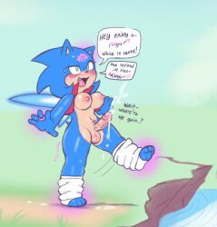 sonic_the_hedgehog, sonique_the_hedgehog, sega, sonic_(series), sonic_the_hedgehog_(series)