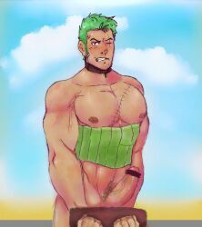 roronoa_zoro, one_piece, artist_request, 1boy, abs
