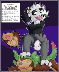 chespin, generation_6_pokemon, pancham, pokemon_(species), nintendo