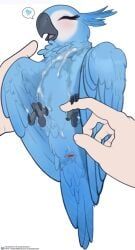 jewel_(rio), blue_sky_studios, rio_(series), quangdoann, after_sex