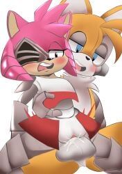 amy_rose, robofox_the_badnik, rusty_rose, tails, tails_the_fox
