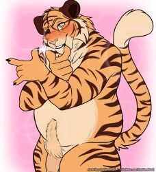 jun_kobayashi, tennis_ace, calico_kai, anthro, belly