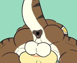 omyurice, 2boys, anal_mating_press, anthro, anthro_on_anthro