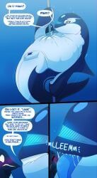 yano_(dolphinproject), dolphinproject, animal_genitalia, animal_vulva, aquatic
