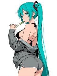 hatsune_miku, vocaloid, onion, runu_sera, 1girl