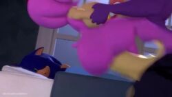 amy_rose, queen_aleena, queen_aleena_hedgehog, sonic_the_hedgehog, couch_co-op
