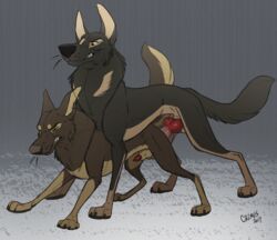 stomak, streetdog, crimes, canine, cum