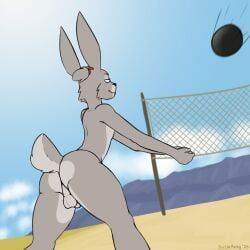 scribefang, accessory, anthro, ass, backsack