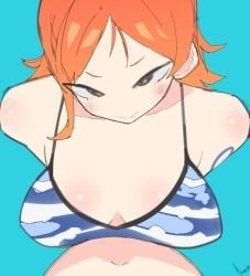 nami_(one_piece), protagonist, one_piece, shonen_jump, shueisha