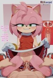 amy_rose, sonic_(series), blk9201, 1boy, 1girls