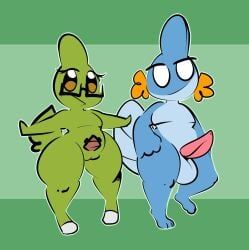generation_2_pokemon, generation_3_pokemon, larvitar, mira_(1-upclock), mudkip