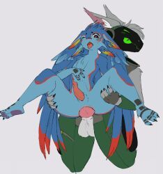 protogen, avali, anal, knot, knotted_penis