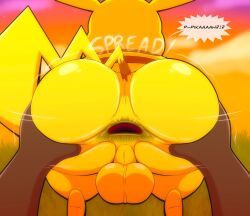 pikachu, pokemon_(species), pokemon, tepigfan101, anus