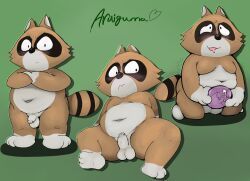 araiguma, bonobono, anthro, balls, belly