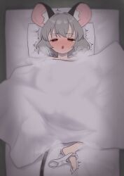 nazrin, touhou, asakura_haru, 1girl, animal_ear_fluff