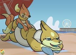 buizel, floatzel, generation_4_pokemon, pokemon_(species), shiny_pokemon