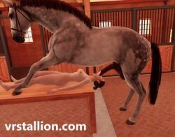 original_character, original, vrstallion, 1animal, animal_genitalia