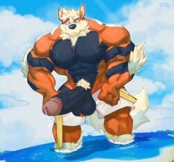 arcanine, generation_1_pokemon, kori_(oinu_kori), pokemon_(species), nintendo