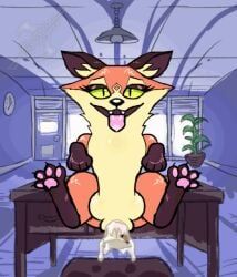 blizzate, bodily_fluids, bulge, bulge_size_difference, canid